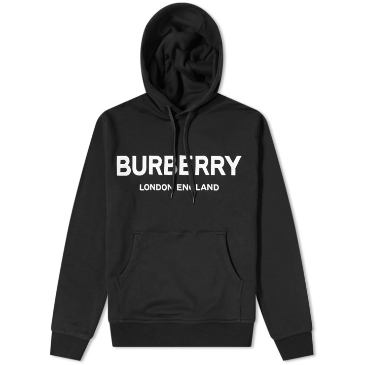 Photo: Burberry Lexstone Logo Hoody