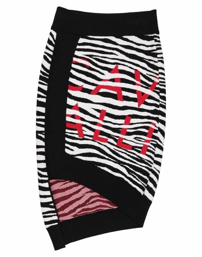 Photo: Just Cavalli Womens Mini skirt in Black
