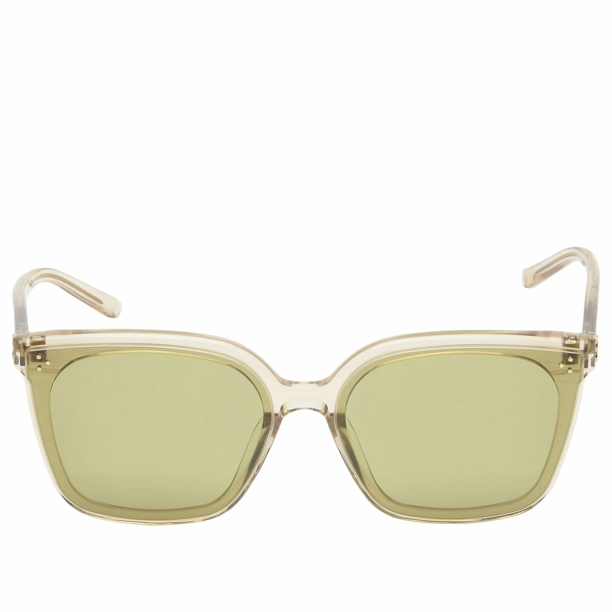 Gentle Monster Piana Sunglasses in Brown 