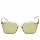Gentle Monster Piana Sunglasses in Brown 