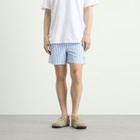 Calvin Klein Men's Medium Drawstring Swim Shorts in Penny Stripe/Blue Descent