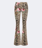 Roberto Cavalli Leopard-print floral flared jeans