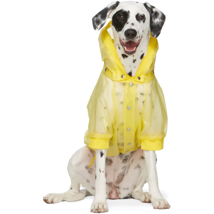 Moncler Genius Yellow Poldo Dog Couture Edition Waterproof Coat