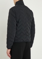 Emporio Armani Water-repellent Padded Stretch-nylon Jacket Black