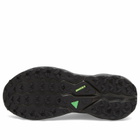 Brooks Men's Cascadia 19 Sneaker in Phantom/Rum Raisin/Green