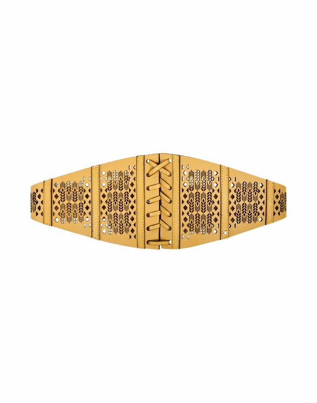 Photo: Elisabetta Franchi Womens Belt in Yellow