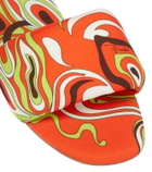 Pucci Printed slides