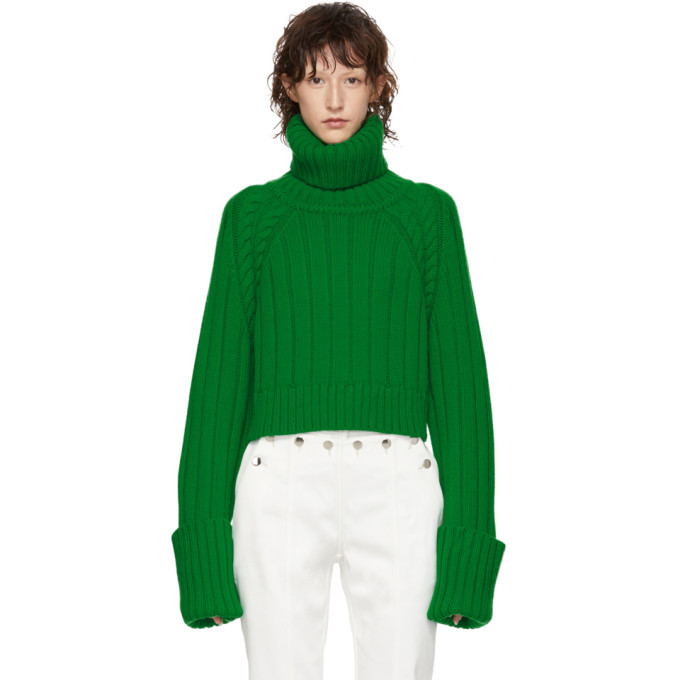 Oversized green cheap turtleneck sweater