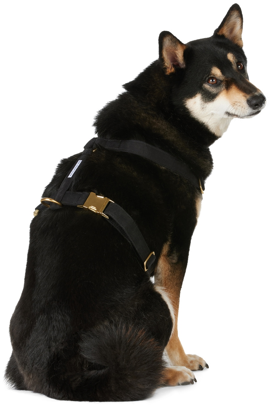See Scout Sleep Black The Scot Medium Original Harness
