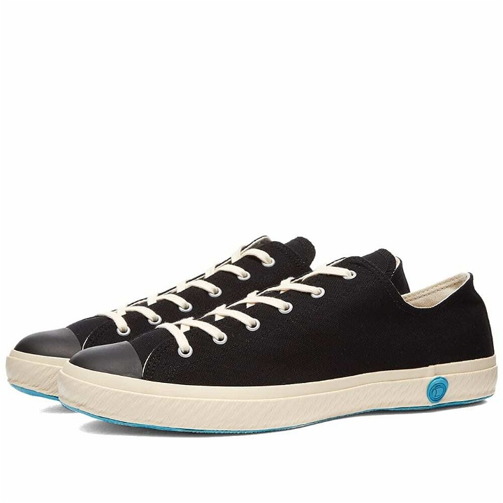 Photo: Shoes Like Pottery 01JP Low Sneakers in Black