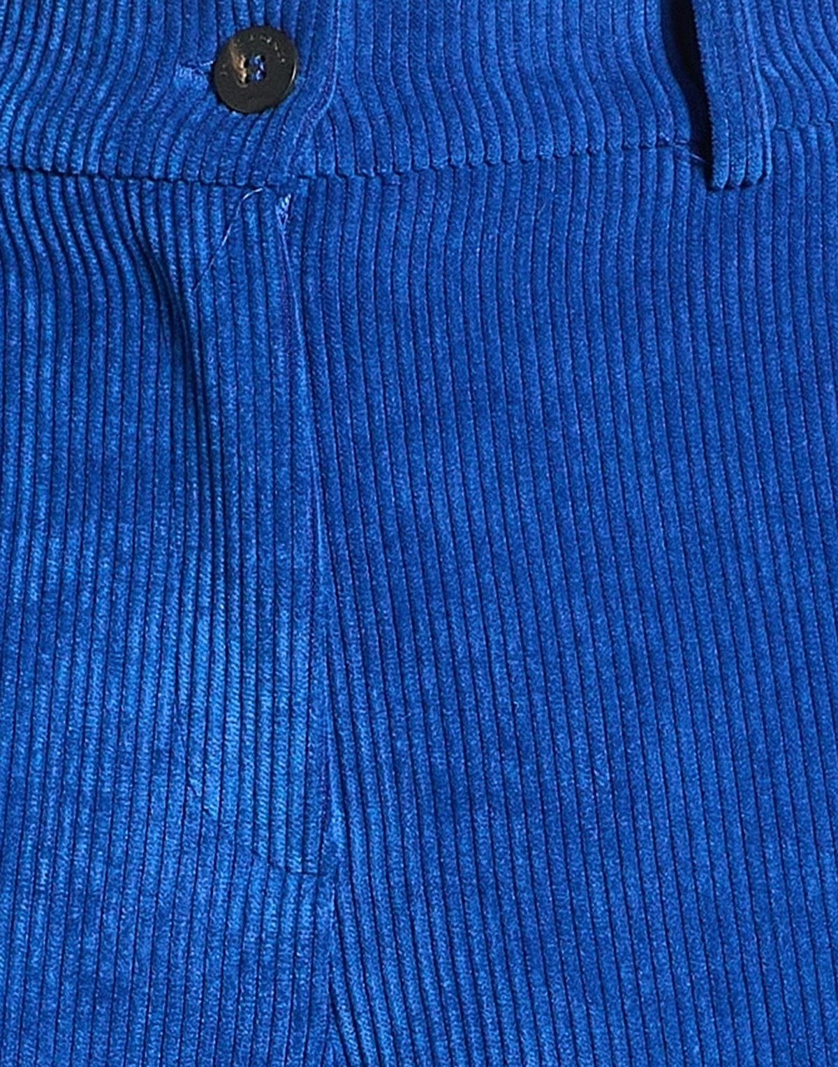 Skills & Genes Womens Pants in Blue