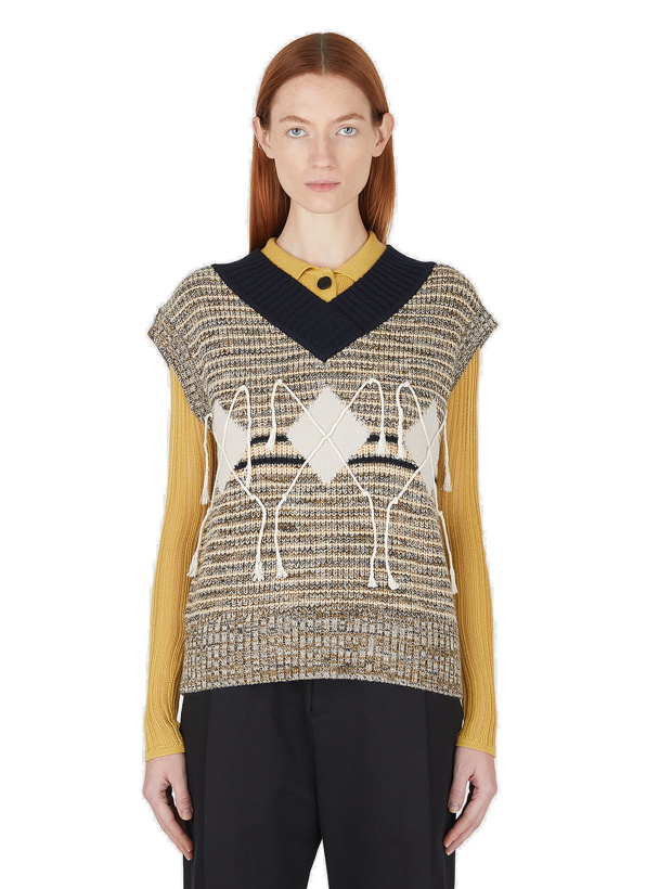 Photo: Argyle Sleeveless Sweater in Brown