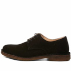 Astorflex Men's Cityflex Shoe in Black