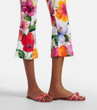 Dolce&Gabbana Floral capri pants