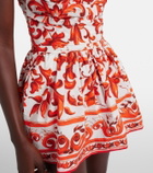 Dolce&Gabbana Majolica printed cotton poplin minidress