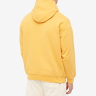 Dime Men's Twister Hoody in Squash