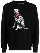 POLO RALPH LAUREN - Printed Sweater