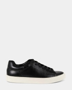 Steve Madden Fogarty Sneakers in Black