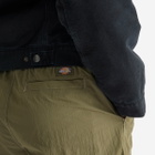 Dickies Women's Jackson Cargo Pant in Military Green