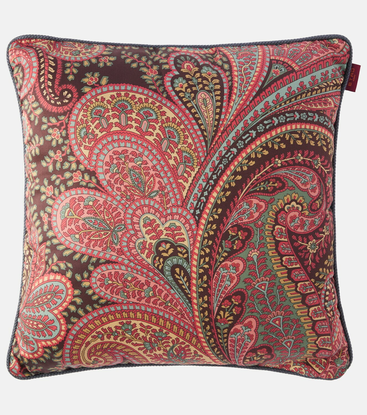 Etro Paisley cotton cushion
