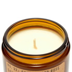 P.F. Candle Co No.32 Sandalwood Rose Soy Candle in 204g
