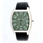 Polanti Time Zone Quartz Green Dial Mens Watch 1Z-101G-SS
