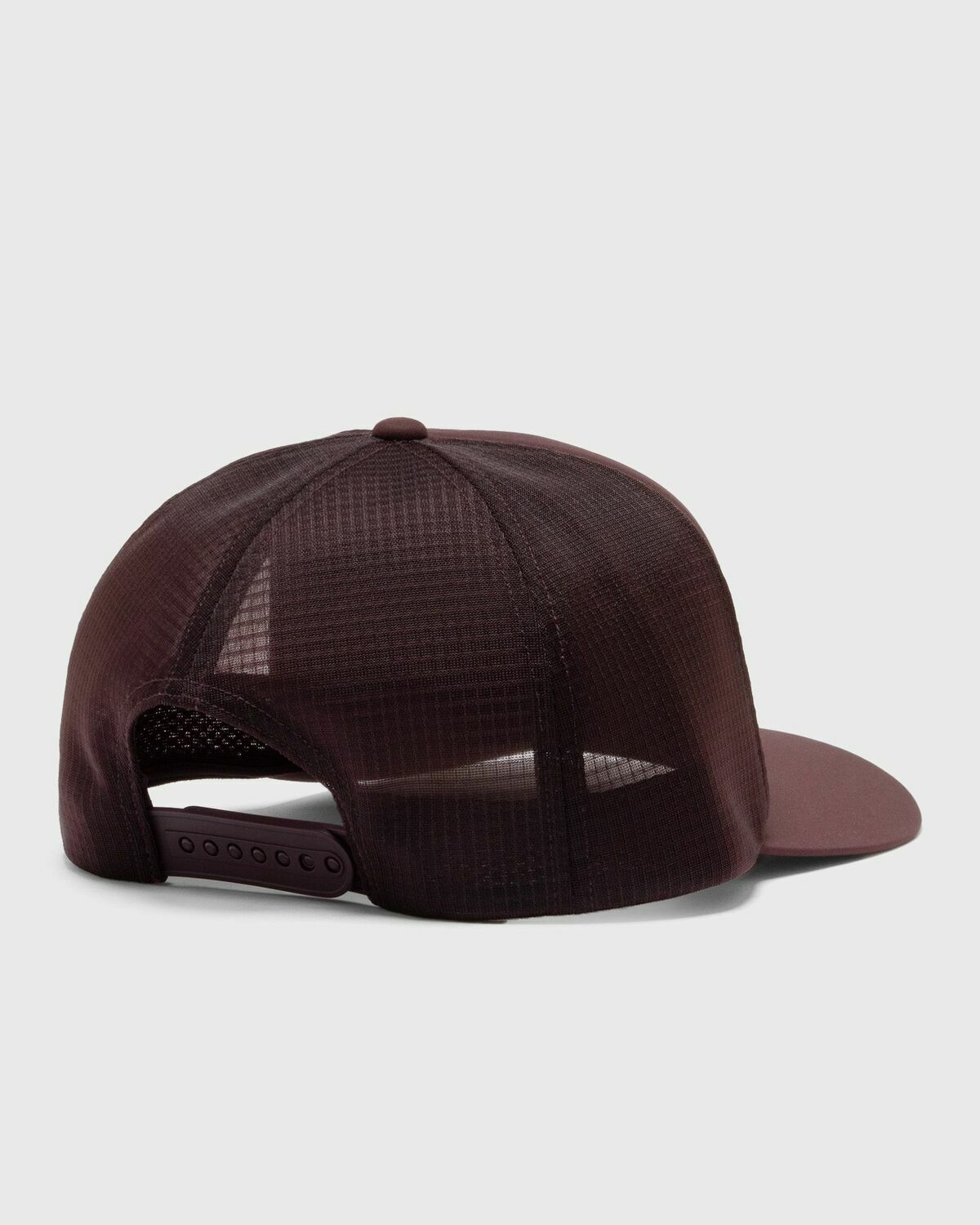 Arc´Teryx Bird Word Trucker Curved Purple Caps