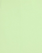 Jijil Womens Mini skirt Light in Green