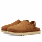 UGG Women's Goldenstar Clog in Chestnut