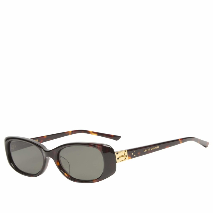 Photo: Gentle Monster Dust Musk Sunglasses in Tortoise/Black 