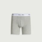 Calvin Klein Men's Icon Script Boxer Brief - 3 Pack in Volcanic Ash/Spiced Apple/Grey Heather