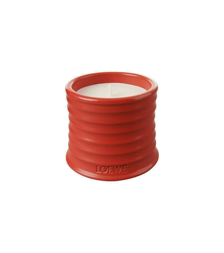 Photo: Loewe Home Scents Tomato Leaves Small scented candle