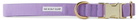 See Scout Sleep Purple Large Scot Dog Collar