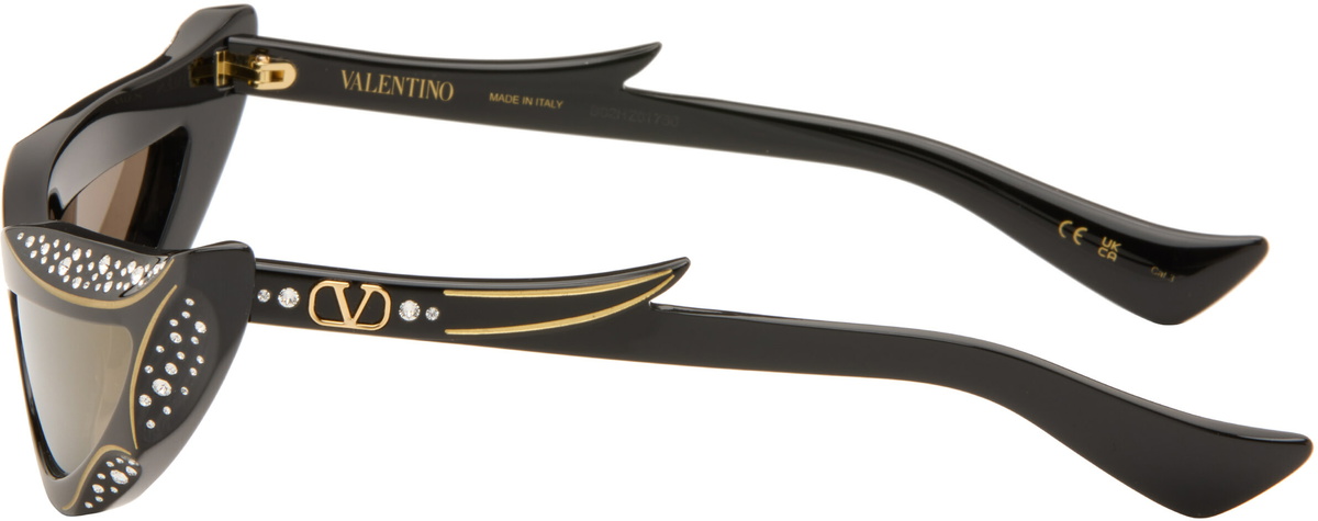 Valentino Black Cat-Eye Acetate Sunglasses