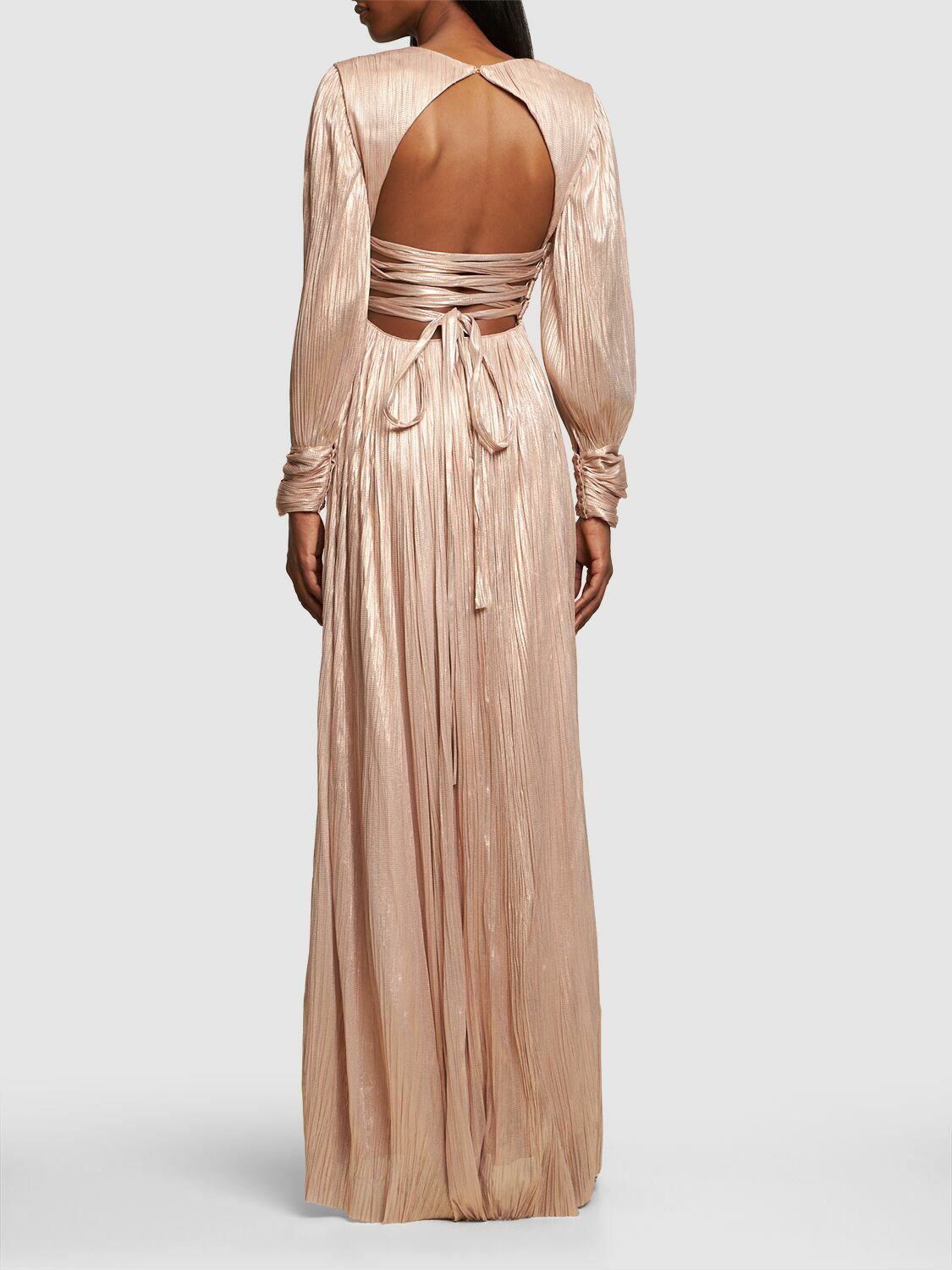 MARIA LUCIA HOHAN Smaranda Foiled Silk Tulle Long Dress Maria Lucia Hohan