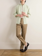 Richard James - Button-Down Collar Striped Cotton Shirt - Green