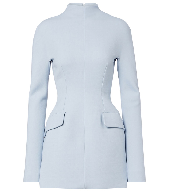 Photo: Sportmax Tefrite minidress
