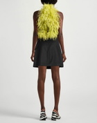 Just Cavalli Womens Mini skirt in Black