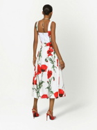 DOLCE & GABBANA - Printed Midi Skirt