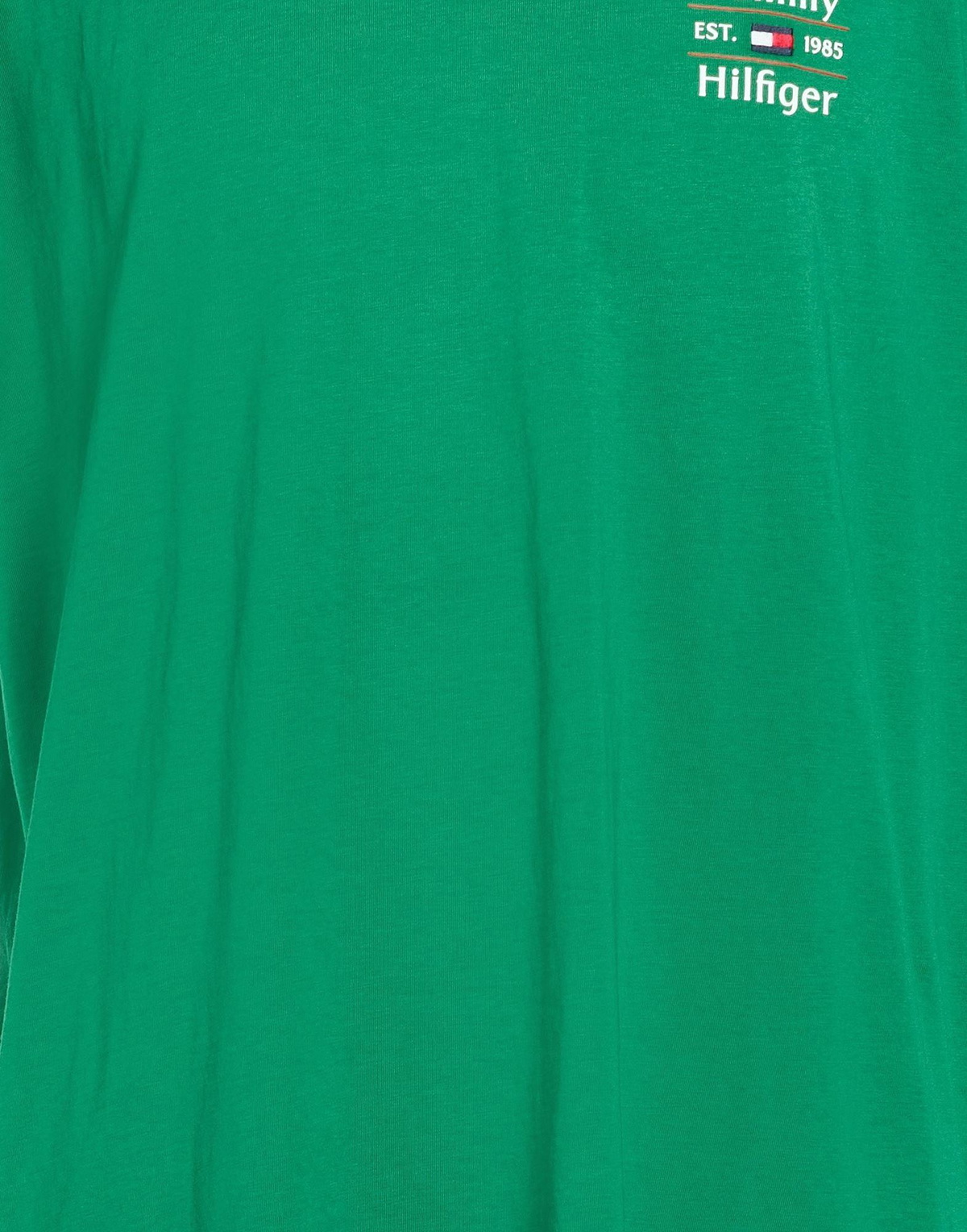 Tommy Hilfiger Mens T-shirt in Green