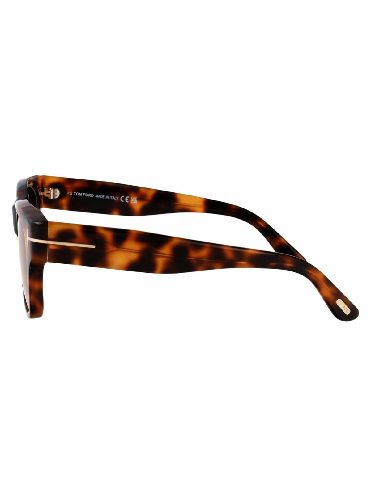 Tom Ford Eyewear Caine-02 Sunglasses