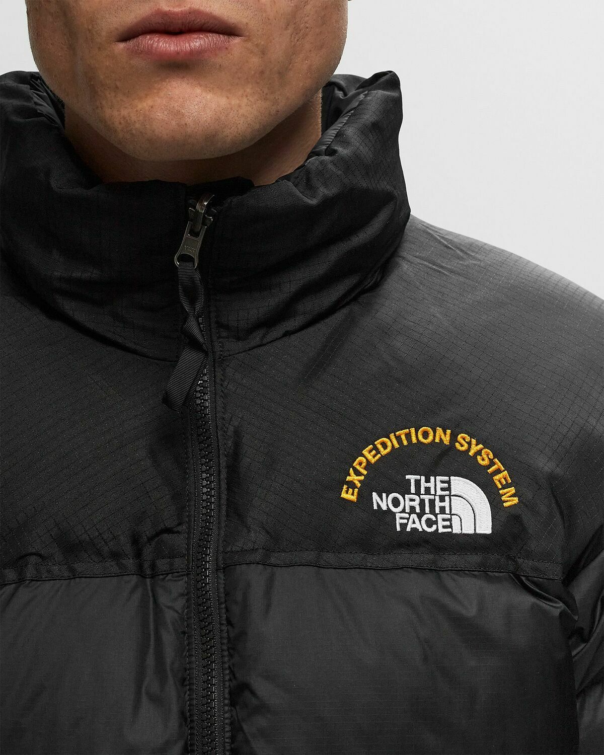 The North Face 1996 Retro Nuptse Jacket Black Down & Puffer Jackets