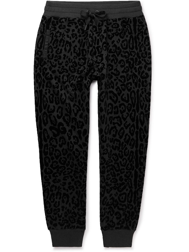 Photo: Dolce & Gabbana - Tapered Leopard-Flocked Cotton-Jersey Sweatpants - Black