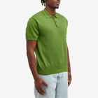 Polar Skate Co. Men's Miles Knit Polo Shirt in Garden Green