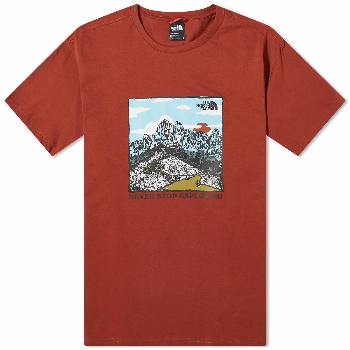 Photo: The North Face Men's Graphic T-Shirt in Brandy Brown