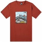 The North Face Men's Graphic T-Shirt in Brandy Brown