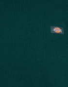 Dickies Mens Sweatshirt Dark in Green