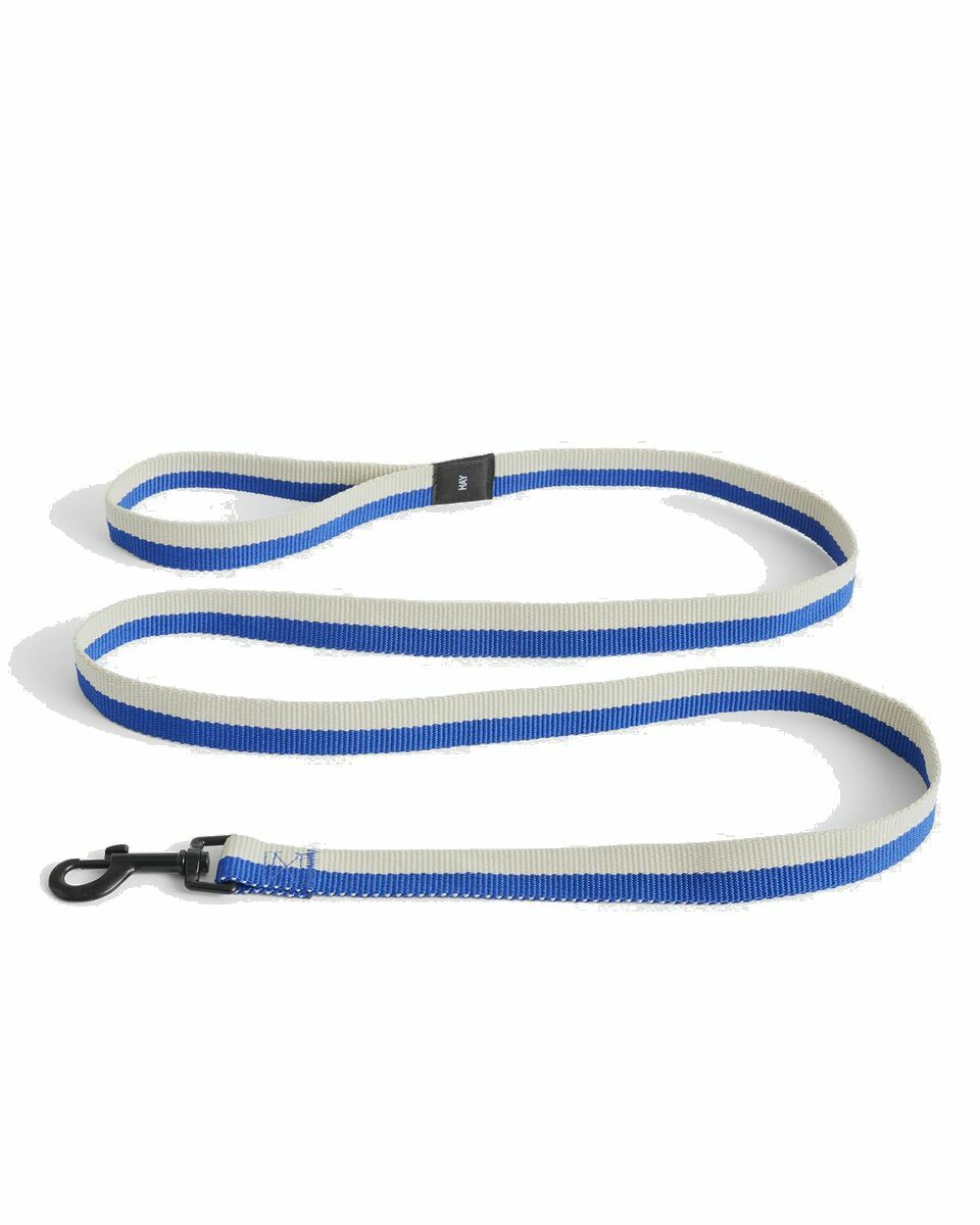 Photo: Hay Hay Dogs Leash Blue/White - Mens - Cool Stuff