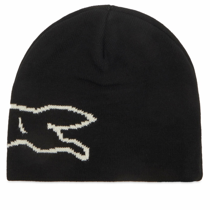 Photo: ICECREAM Men's Running Dog Beanie in Black 