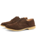 Astorflex Coastflex Suede Derby Shoe